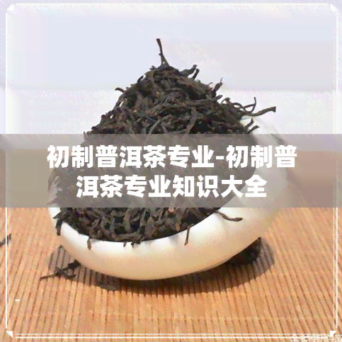 初制普洱茶专业-初制普洱茶专业知识大全