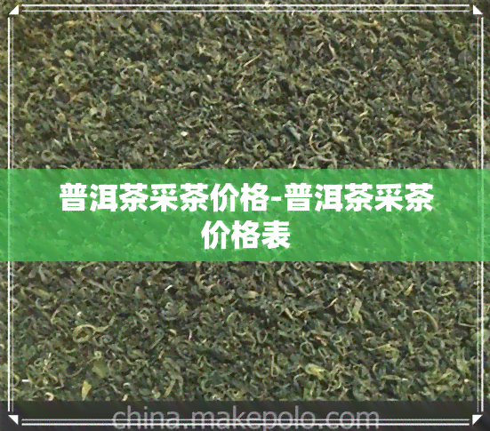 普洱茶采茶价格-普洱茶采茶价格表