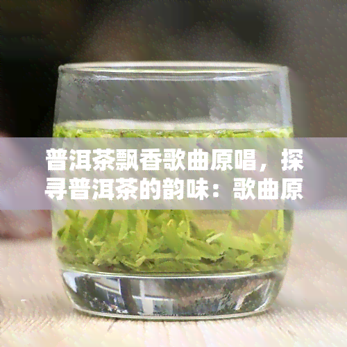 普洱茶飘香歌曲原唱，探寻普洱茶的韵味：歌曲原唱带你领略茶香四溢的世界