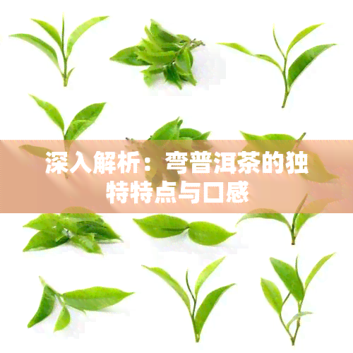 深入解析：弯普洱茶的独特特点与口感