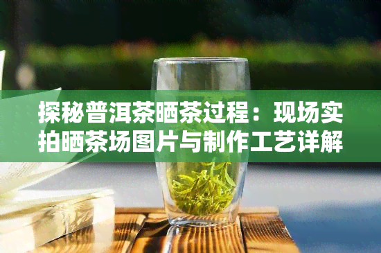 探秘普洱茶晒茶过程：现场实拍晒茶场图片与制作工艺详解