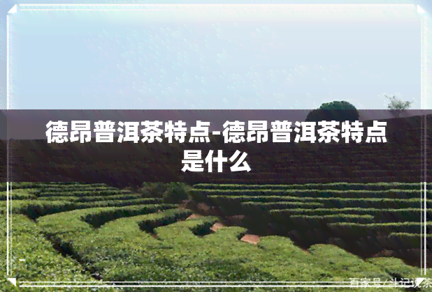 德昂普洱茶特点-德昂普洱茶特点是什么