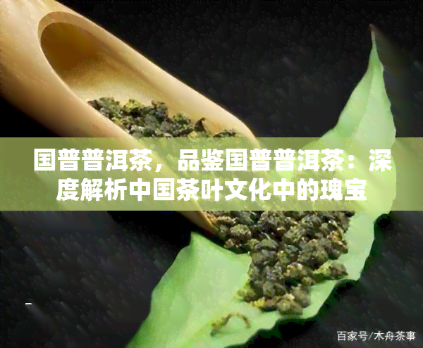 国普普洱茶，品鉴国普普洱茶：深度解析中国茶叶文化中的瑰宝