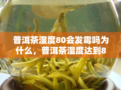 普洱茶湿度80会发霉吗为什么，普洱茶湿度达到80%是否会发霉？原因解析