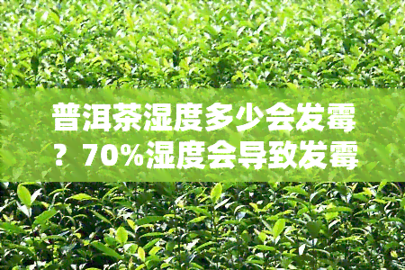 普洱茶湿度多少会发霉？70%湿度会导致发霉吗？