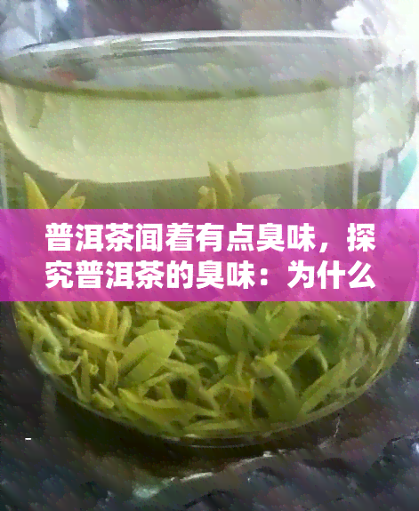 普洱茶闻着有点臭味，探究普洱茶的臭味：为什么会有这种独特的气味？