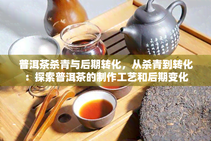 普洱茶杀青与后期转化，从杀青到转化：探索普洱茶的制作工艺和后期变化