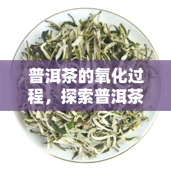 普洱茶的氧化过程，探索普洱茶的独特魅力：氧化过程解析