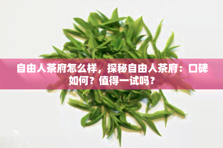 自由人茶府怎么样，探秘自由人茶府：口碑如何？值得一试吗？