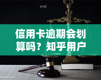 信用卡逾期会划算吗？知乎用户分享经验与建议