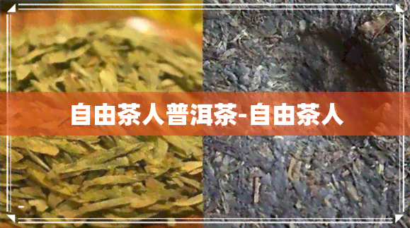 自由茶人普洱茶-自由茶人