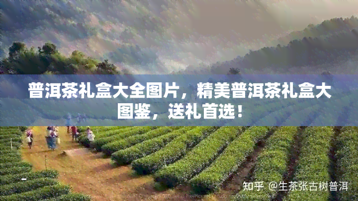 普洱茶礼盒大全图片，精美普洱茶礼盒大图鉴，送礼首选！