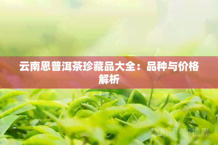 云南思普洱茶珍藏品大全：品种与价格解析