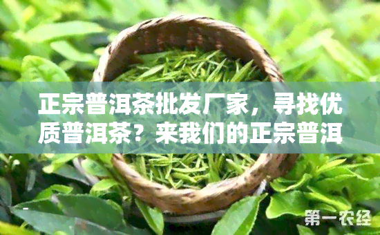 正宗普洱茶批发厂家，寻找优质普洱茶？来我们的正宗普洱茶批发厂家！