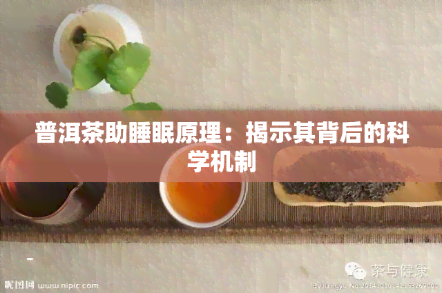 普洱茶助睡眠原理：揭示其背后的科学机制