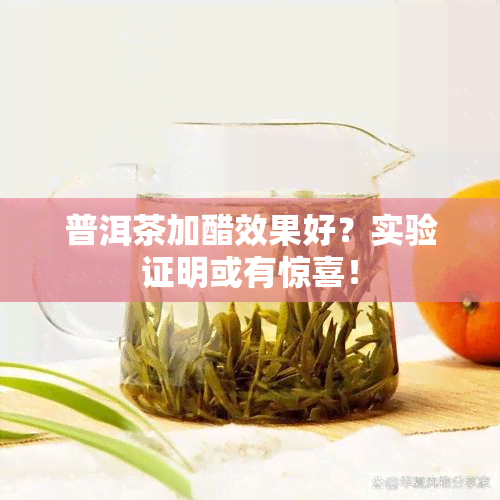 普洱茶加醋效果好？实验证明或有惊喜！