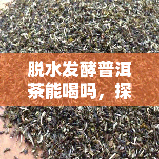 脱水发酵普洱茶能喝吗，探讨：脱水发酵的普洱茶是否适宜饮用？