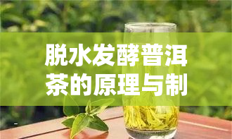 脱水发酵普洱茶的原理与制作过程全解析