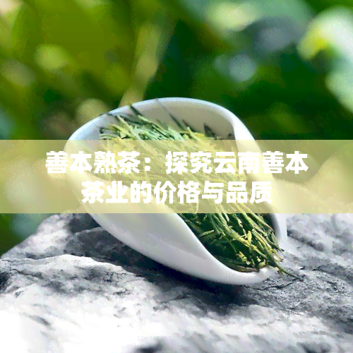 善本熟茶：探究云南善本茶业的价格与品质