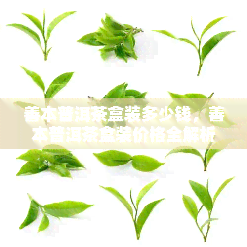 善本普洱茶盒装多少钱，善本普洱茶盒装价格全解析