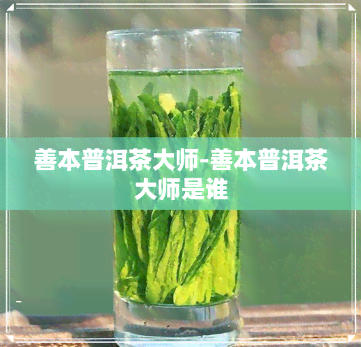 善本普洱茶大师-善本普洱茶大师是谁