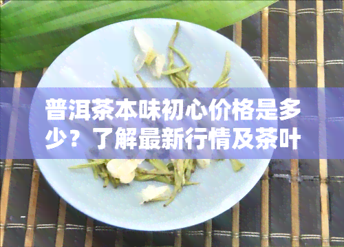 普洱茶本味初心价格是多少？了解最新行情及茶叶价格信息