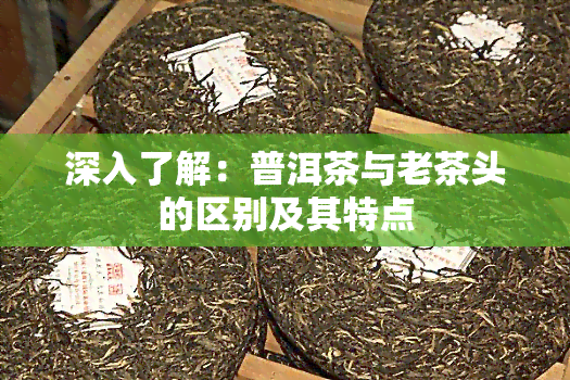 深入了解：普洱茶与老茶头的区别及其特点