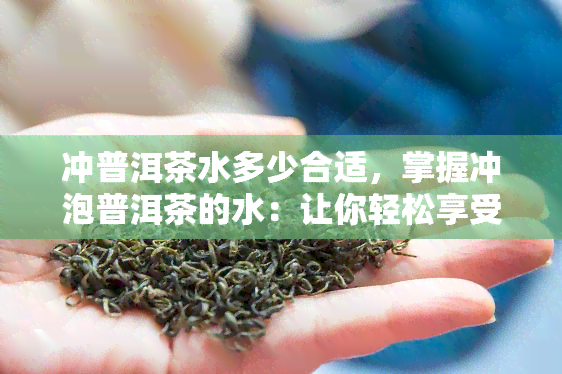 冲普洱茶水多少合适，掌握冲泡普洱茶的水：让你轻松享受茶香四溢的时刻