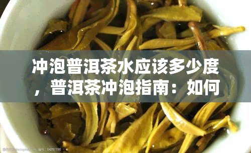 冲泡普洱茶水应该多少度，普洱茶冲泡指南：如何掌握合适的水？