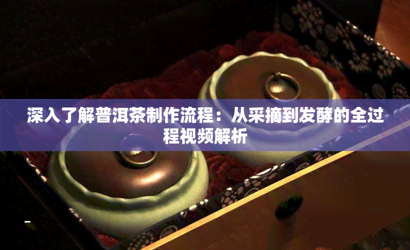 深入了解普洱茶制作流程：从采摘到发酵的全过程视频解析