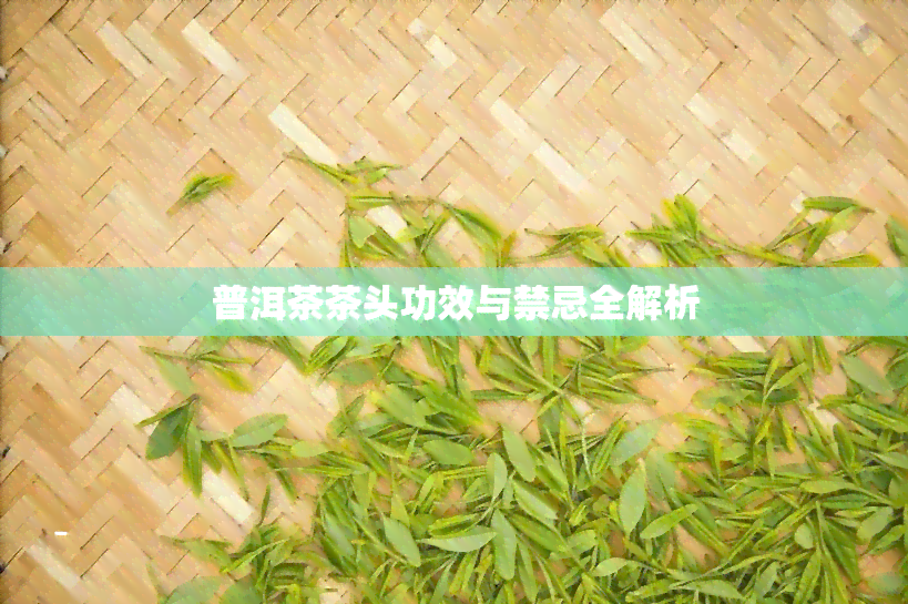 普洱茶茶头功效与禁忌全解析