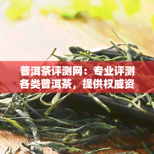 普洱茶评测网：专业评测各类普洱茶，提供权威资讯与深度解析