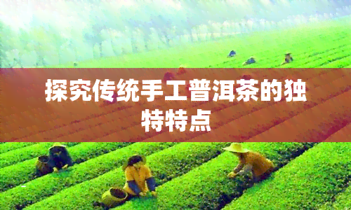 探究传统手工普洱茶的独特特点