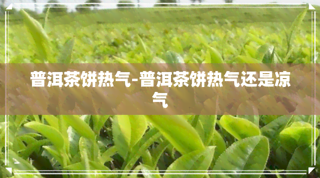 普洱茶饼热气-普洱茶饼热气还是凉气