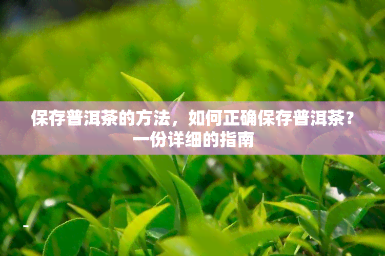 保存普洱茶的方法，如何正确保存普洱茶？一份详细的指南