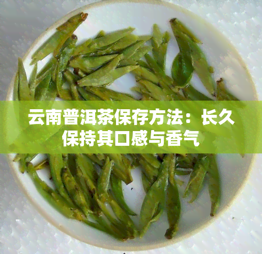 云南普洱茶保存方法：长久保持其口感与香气