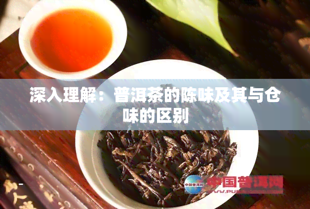 深入理解：普洱茶的陈味及其与仓味的区别