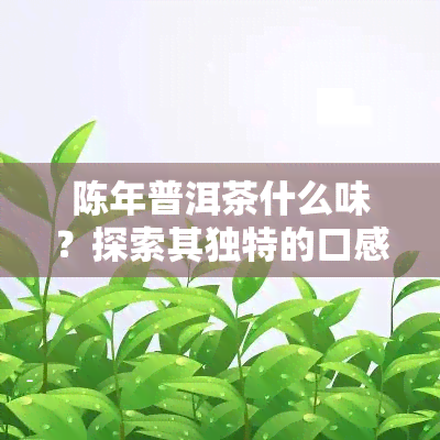 陈年普洱茶什么味？探索其独特的口感与韵味