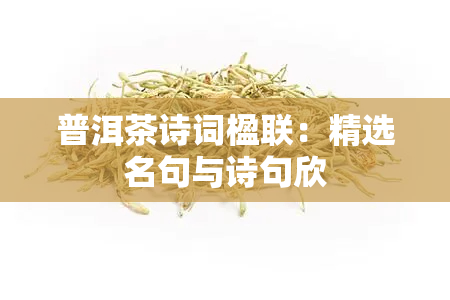 普洱茶诗词楹联：精选名句与诗句欣