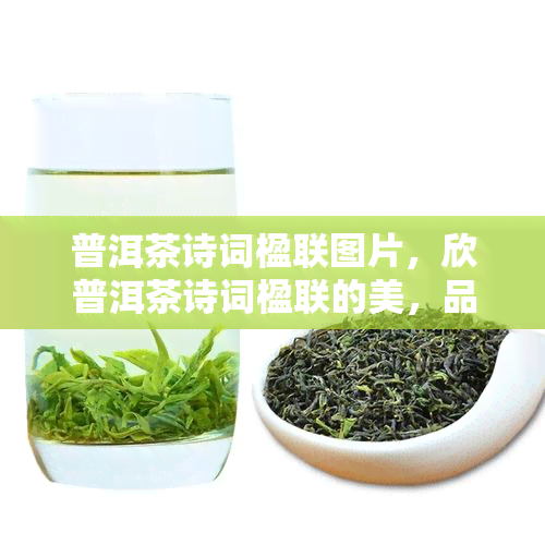 普洱茶诗词楹联图片，欣普洱茶诗词楹联的美，品味茶文化的魅力——精美图片集锦