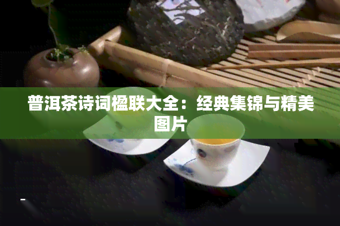 普洱茶诗词楹联大全：经典集锦与精美图片