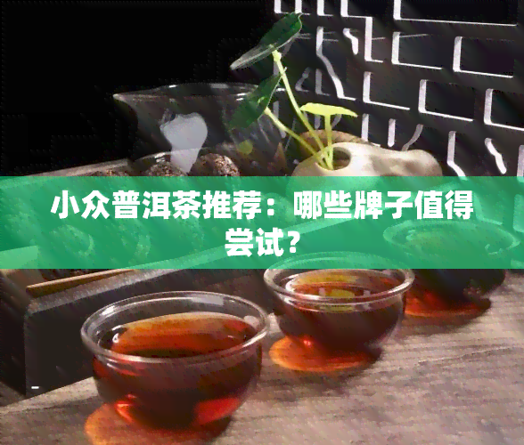 小众普洱茶推荐：哪些牌子值得尝试？