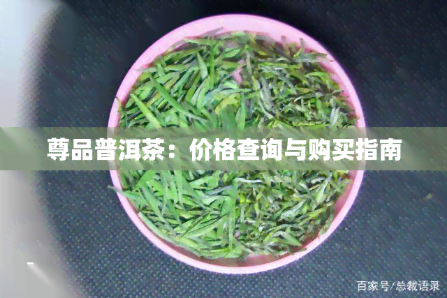 尊品普洱茶：价格查询与购买指南