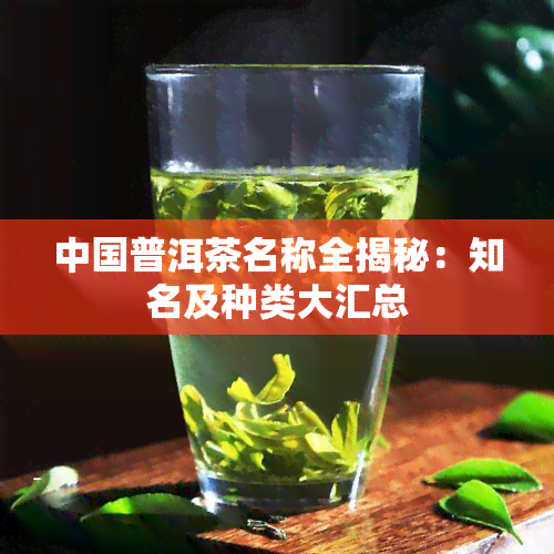 中国普洱茶名称全揭秘：知名及种类大汇总