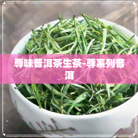 尊味普洱茶生茶-尊系列普洱