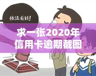 求一张2020年信用卡逾期截图，展示欠款情况的图片