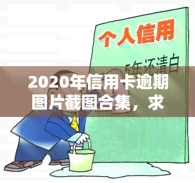 2020年信用卡逾期图片截图合集，求高清逾期图片！