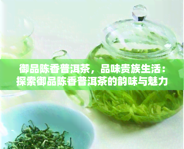 御品陈香普洱茶，品味贵族生活：探索御品陈香普洱茶的韵味与魅力