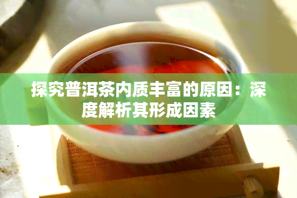 探究普洱茶内质丰富的原因：深度解析其形成因素