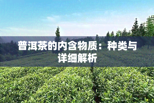 普洱茶的内含物质：种类与详细解析